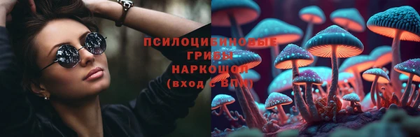 мет Вяземский