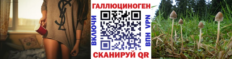 даркнет клад  наркошоп  Евпатория  Псилоцибиновые грибы Psilocybine cubensis 